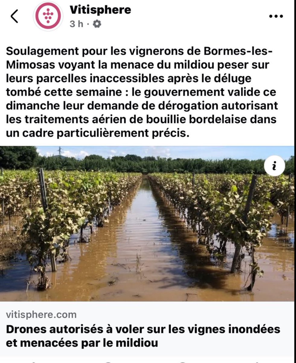 fabre jean marie (@11_fabre) on Twitter photo Dans ce contexte et à ce stade végétatif il est capital d’intervenir vite pour protéger, sauver ce qui peut l’être ! Nous saluons chez <a href="/vigneronindep/">Vignerons Indépendants de France</a> cette réactivité, ce pragmatisme et la signature de cette autorisation <a href="/AnnieGenevard/">Annie Genevard</a> <a href="/AgnesRunacher/">Agnès Pannier-Runacher 🇫🇷🇪🇺</a> <a href="/CaVautrin/">Catherine Vautrin</a> Dans ce contexte et à ce stade végétatif il est capital d’intervenir vite pour protéger, sauver ce qui peut l’être ! Nous saluons chez <a href="/vigneronindep/">Vignerons Indépendants de France</a> cette réactivité, ce pragmatisme et la signature de cette autorisation <a href="/AnnieGenevard/">Annie Genevard</a> <a href="/AgnesRunacher/">Agnès Pannier-Runacher 🇫🇷🇪🇺</a> <a href="/CaVautrin/">Catherine Vautrin</a>
