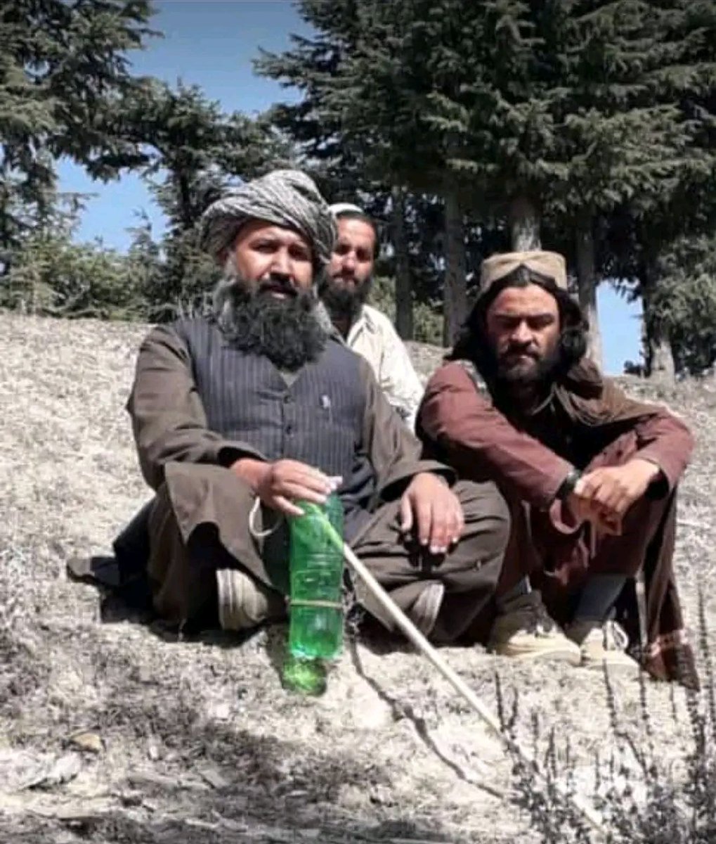 بې دلیله خو مئین درباندې نه یم
له خبرو دې خوشبو راځي لونګـه.♥
#حفظه_الله
که مو وپیژندی نوم یی کمنټ کړی؟