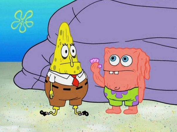 Sometimes it doesn't need to make sense 🧽💦