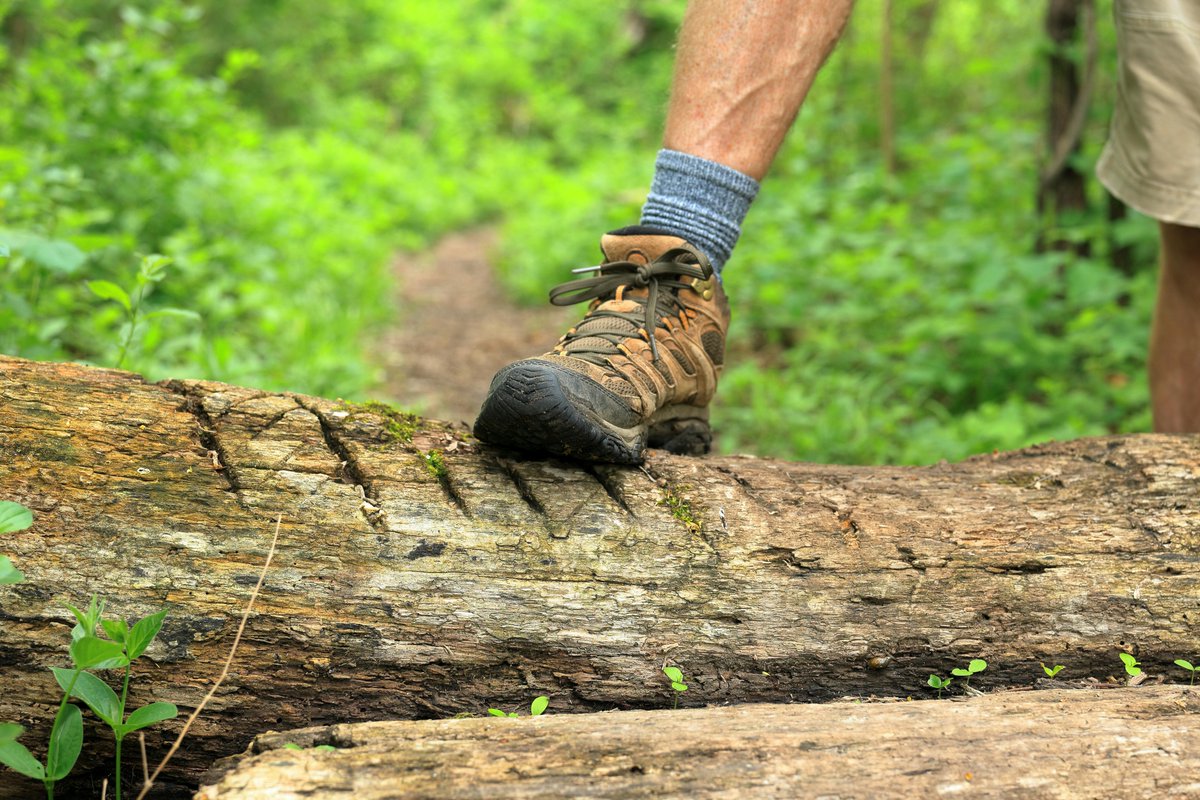 🚶 It’s not too late! Join us at the GM Walking Festival for FREE group walks across Stockport. 

Let's keep moving together and celebrate walking, exploring and connecting 🥾  

👉 orlo.uk/I6SU9

#NationalWalkingMonth