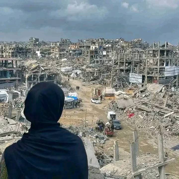 ghadaa231's tweet image. There is no food and no bread.. My family's simple dream is a bag of flour Please help me by donating or sharing and commenting with 馃崏馃嚨馃嚫
paypal.me/GhadaAzmy