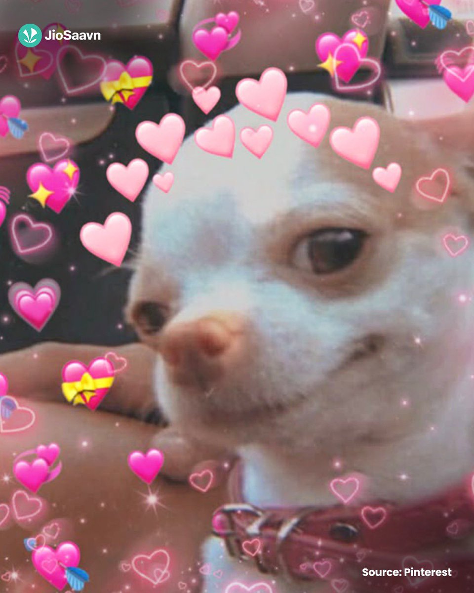 JioSaavn's tweet image. Which Sanju Rathod's song gives you an instant lift? 🤔
We'll go first: 𝘚𝘩𝘢𝘬𝘺 𝘚𝘩𝘢𝘬𝘺 😍

#Shaky #SanjuRathod #FunTweets #Fyp