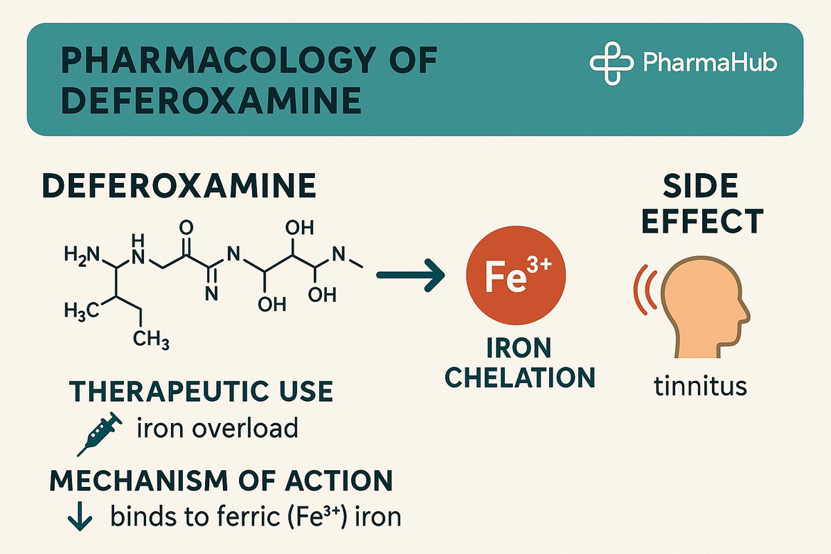 pharmahub_NG's tweet photo. #deferoxamine #Pearl #Pharmacology https://t.co/q7w839q1B2