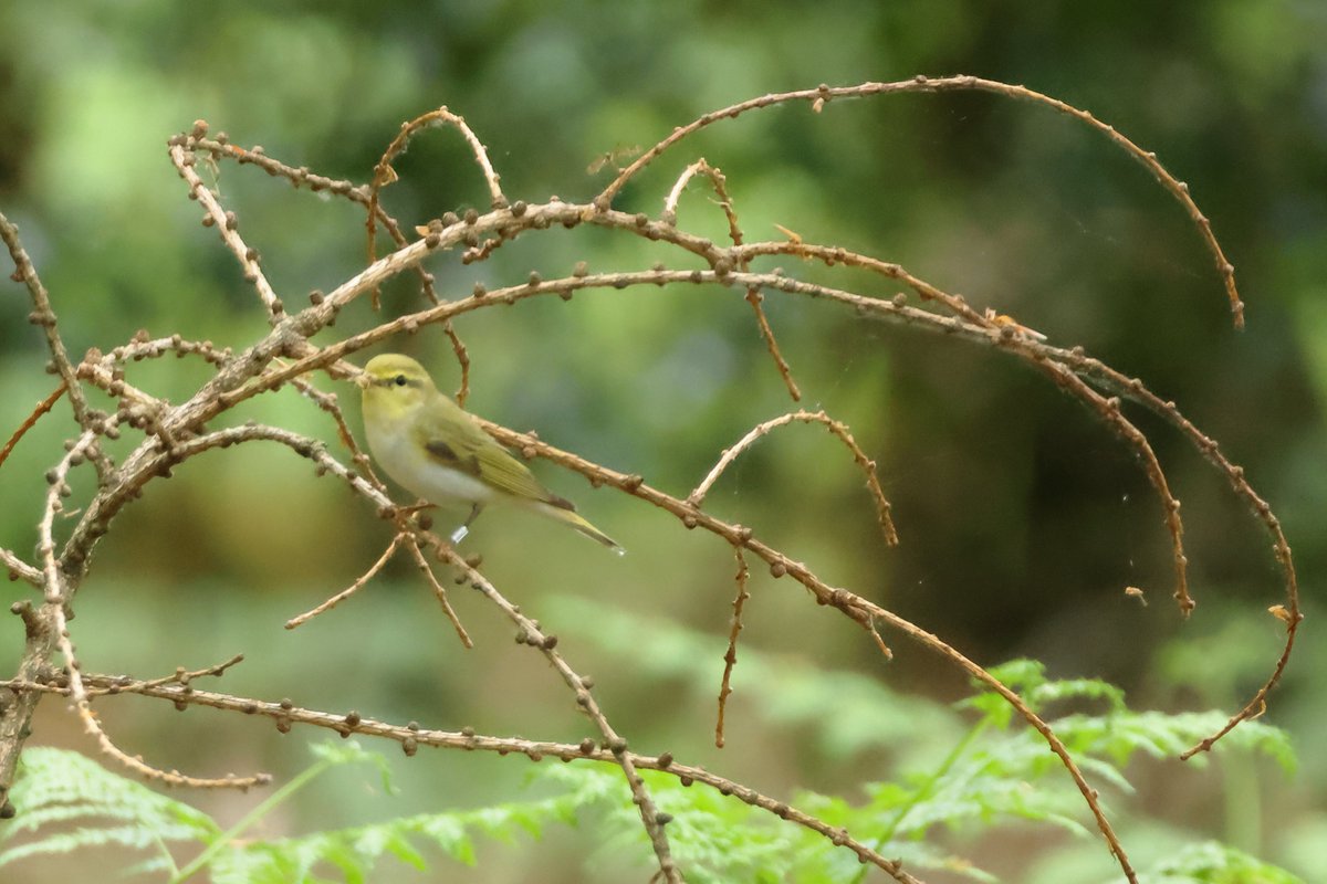 Roberta 💙 tweet media