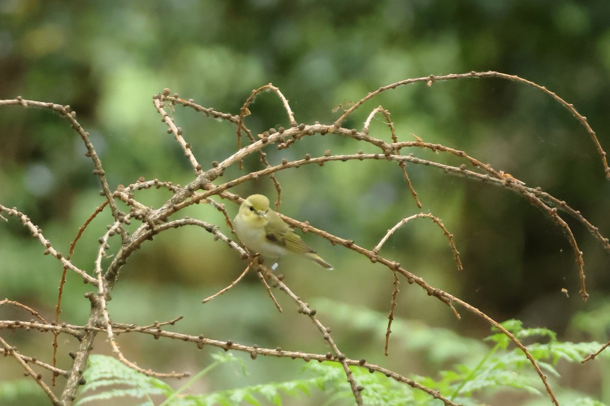 Roberta 💙 tweet media