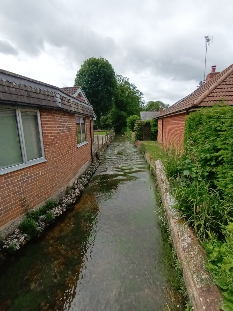 MelJD46's tweet photo. So we had planned a picnic, however a cloudburst necessitated an "in the car" picnic.. #hampshire #rivertest https://t.co/sgFH1nI4aZ