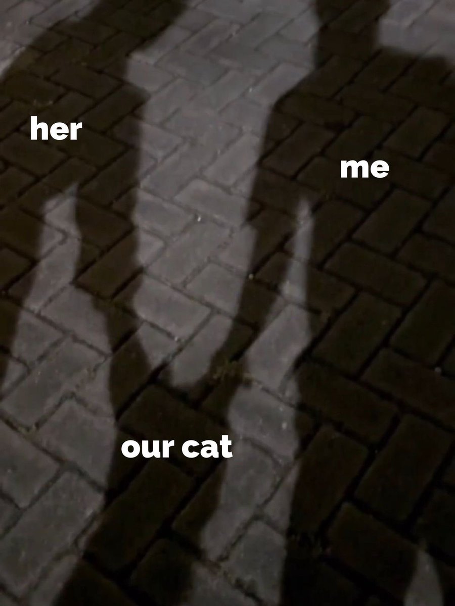 l’introuvable** (@aichelmt) on Twitter photo 