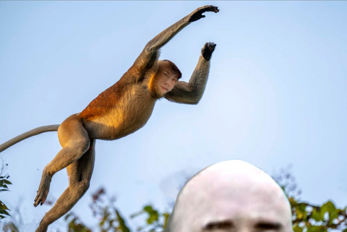 @libtardon <a href="/RTFreePalestine/">RTG</a> <a href="/OndreaWerner/">Ondrea Werner</a> <a href="/PhoneyItalian/">Otherwise 'A' rchived...</a> <a href="/Megatron_ron/">Megatron</a>