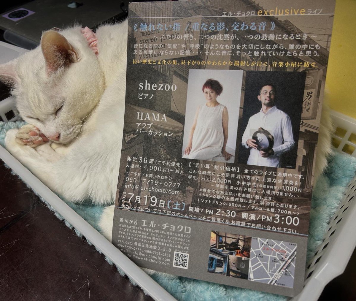 shezoo（シズ） tweet media