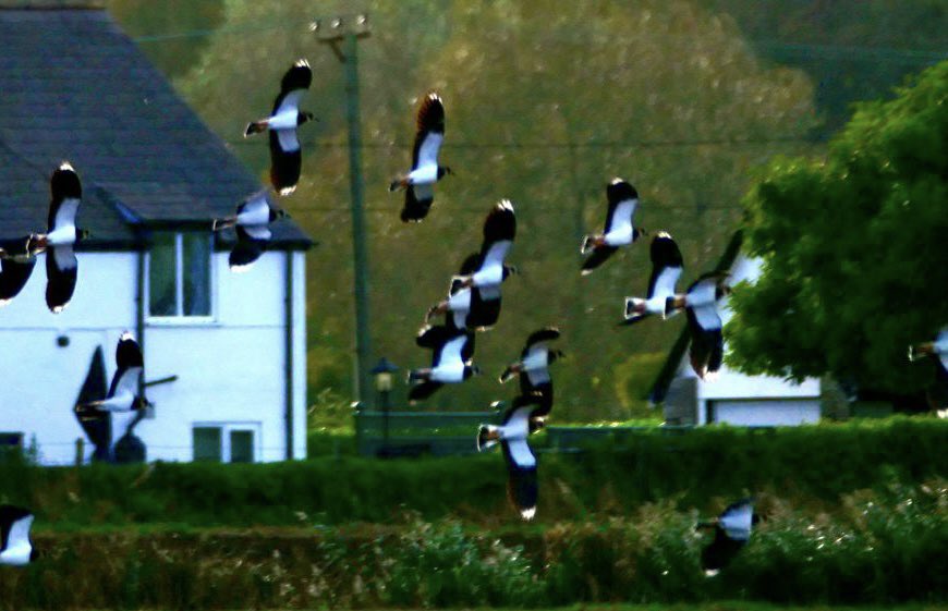 CraigYPerthi tweet media