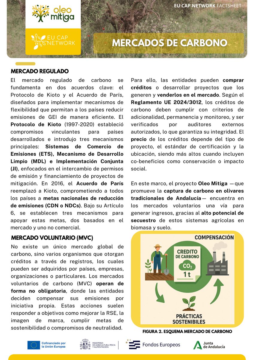 🌿 📝 Nuevo #FactSheet disponible: Mercados de #Carbono en el sector agrícola 🌿

La #Agricultura es una de las principales fuentes de emisiones de GEI, pero también una de las mayores oportunidades para la #MitigaciónClimática 🌍 (+)