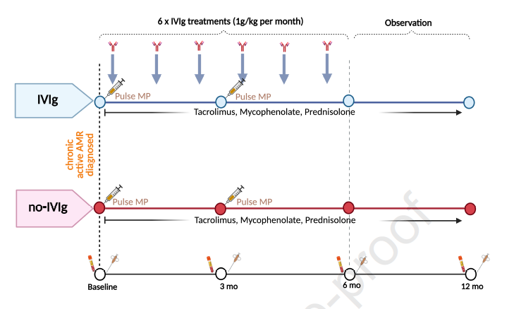 Leonardo V. Riella (@lvriella) on Twitter photo 📢 New RCT in kidney transplant patients with chronic active AMR: IVIG (1g/kg x6 months) vs no IVIG (both w/ pulse steroids).
🧬 IVIG stabilized eGFR & improved molecular signatures—despite no DSA change.
💡 Option in pts where escalating immunosuppression is risky. <a href="/Kidney_Int/">Kidney International</a> 📢 New RCT in kidney transplant patients with chronic active AMR: IVIG (1g/kg x6 months) vs no IVIG (both w/ pulse steroids).
🧬 IVIG stabilized eGFR & improved molecular signatures—despite no DSA change.
💡 Option in pts where escalating immunosuppression is risky. <a href="/Kidney_Int/">Kidney International</a>