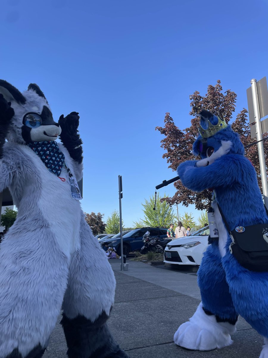 Frost (@frostttz) on Twitter photo Furlandia 2025 was a blast, thanks to my roommates for making it amazing this year! It was amazing to meet my fursuit brother Lemon in person finally!
πΆ: <a href="/Epic_RedPandas/">Lemon π</a>
π¦: <a href="/zell950/">Zell</a>
πΊ: <a href="/WraithW0lf/">WraithW0lf</a> Furlandia 2025 was a blast, thanks to my roommates for making it amazing this year! It was amazing to meet my fursuit brother Lemon in person finally!
πΆ: <a href="/Epic_RedPandas/">Lemon π</a>
π¦: <a href="/zell950/">Zell</a>
πΊ: <a href="/WraithW0lf/">WraithW0lf</a>