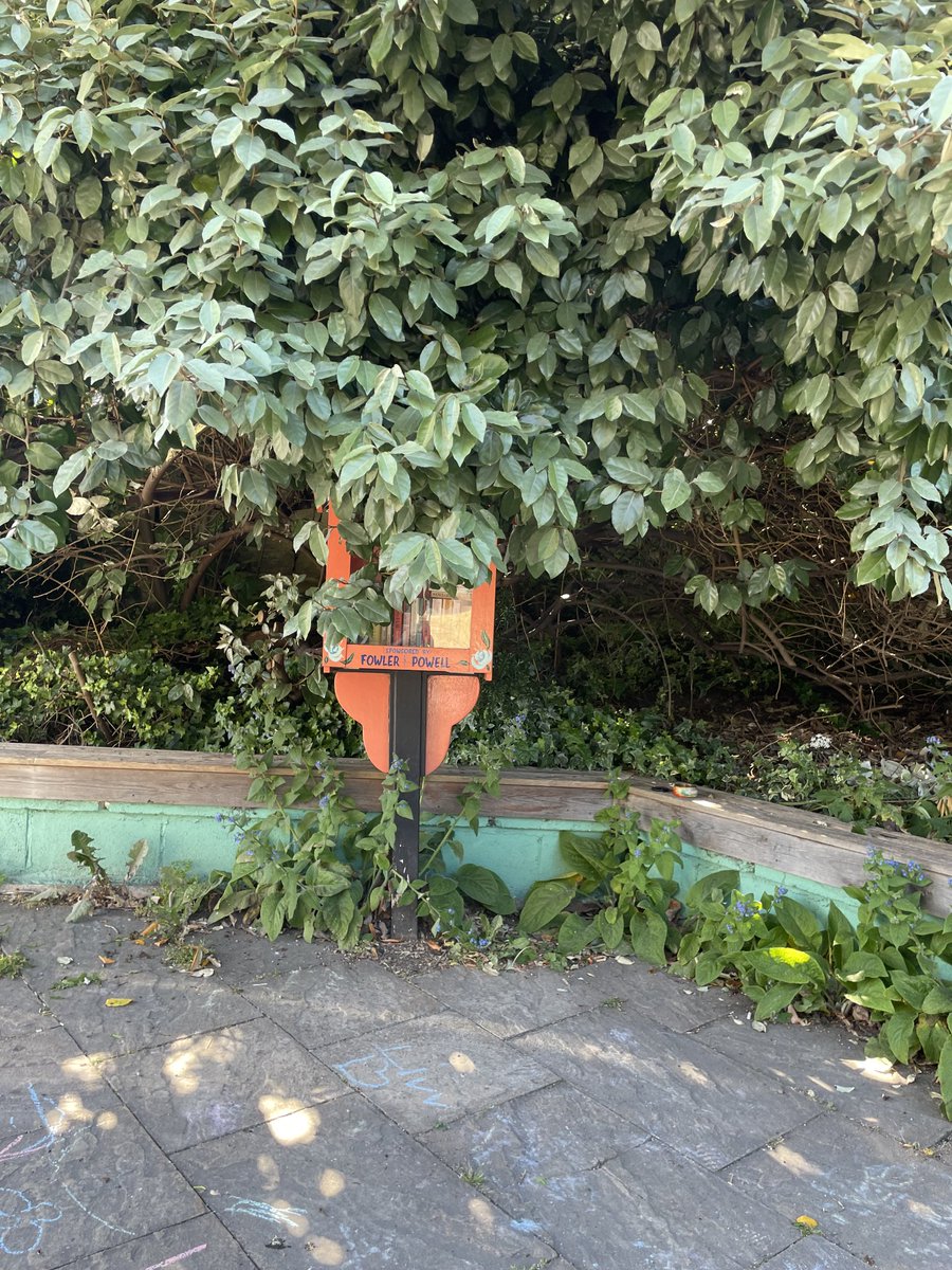 ca_spaces's tweet image. Thanks to the CA Spaces volunteers who tidied up the Regent Street Little Library garden. Voila - you can now see the Little Library!
#chapelallerton #community