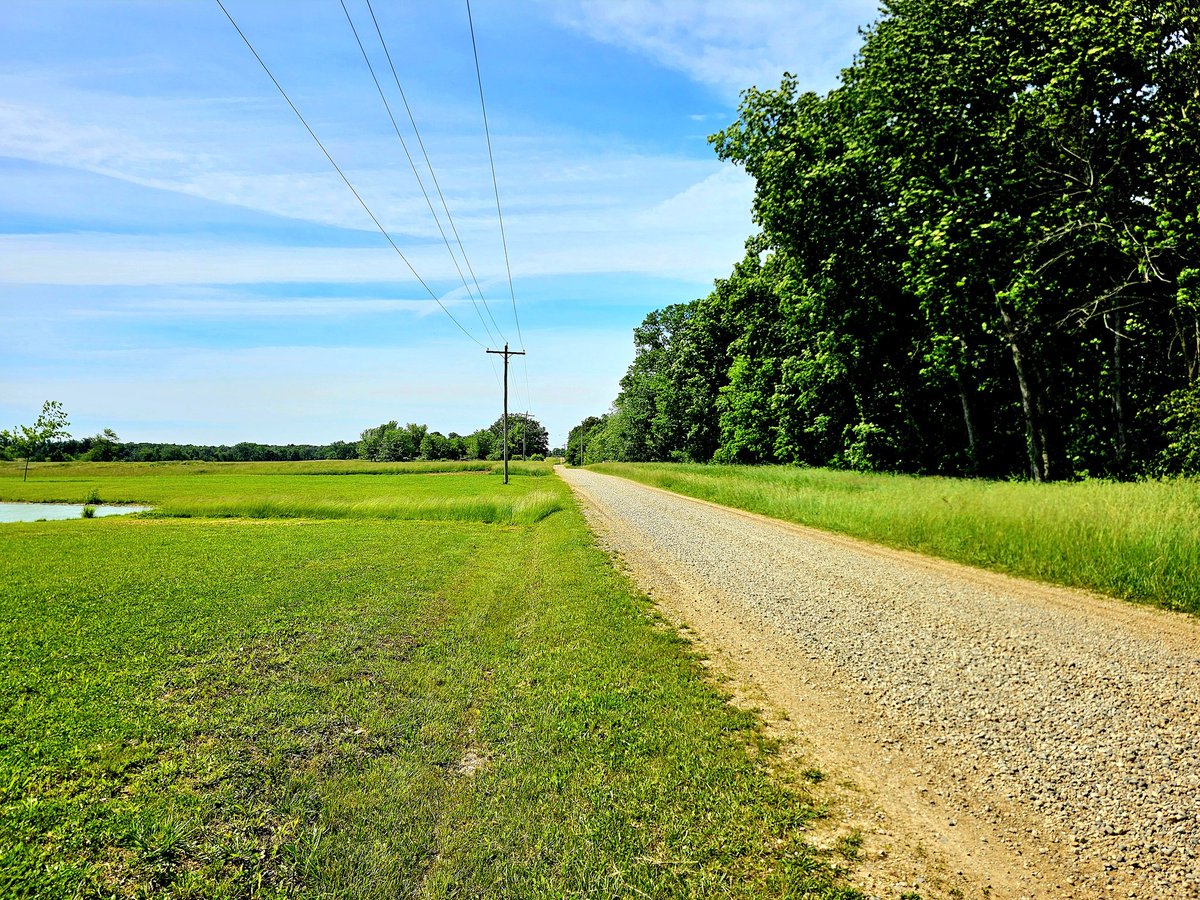 Went out for a ride and had my best 5-mile time but it was with a 15mph tailwind. That tailwind quickly turned into a headwind that killed my time and wore me out.
#gravel 
#bareperformancenutrition 
#workout