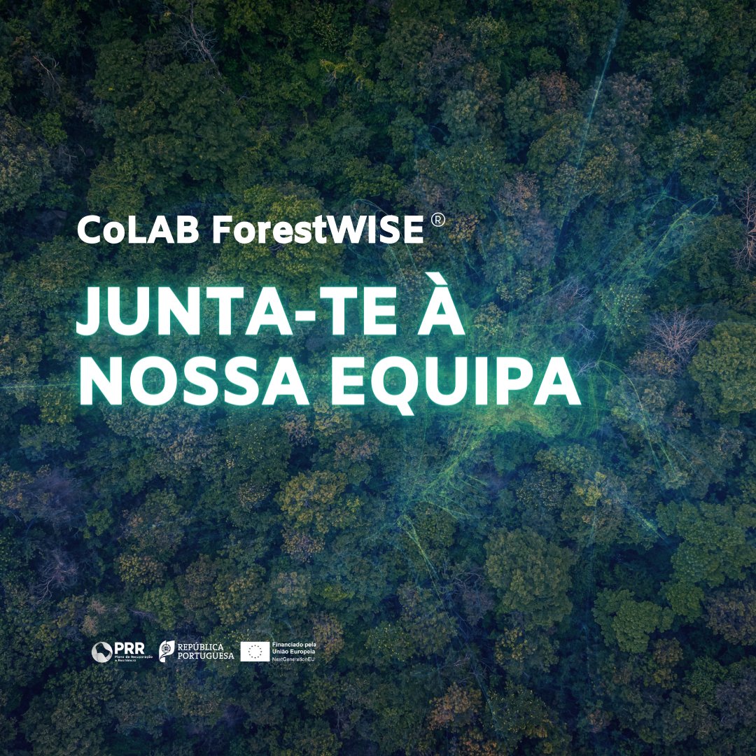 CoLAB ForestWISE (@colabforestwise) on Twitter photo No âmbito da Agenda Verde transForm, financiada através da Componente 5 , o <a href="/colabforestwise/">CoLAB ForestWISE</a>
abre concurso para:
✅ Gestor(a) de Projeto (área de Operações Florestais)
Mais informações: forestwise.pt/recrutamento/ No âmbito da Agenda Verde transForm, financiada através da Componente 5 , o <a href="/colabforestwise/">CoLAB ForestWISE</a>
abre concurso para:
✅ Gestor(a) de Projeto (área de Operações Florestais)
Mais informações: forestwise.pt/recrutamento/