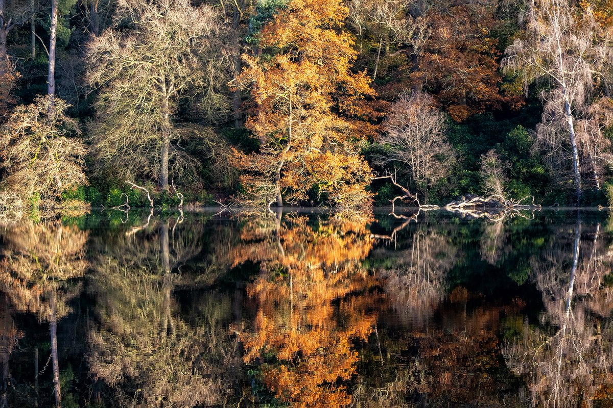 #146 Rorschach, Blakemere 29/11/2023.

A hint of mist on the water at the end of Autumn a couple of years ago.

#photography #reflection #shropshire