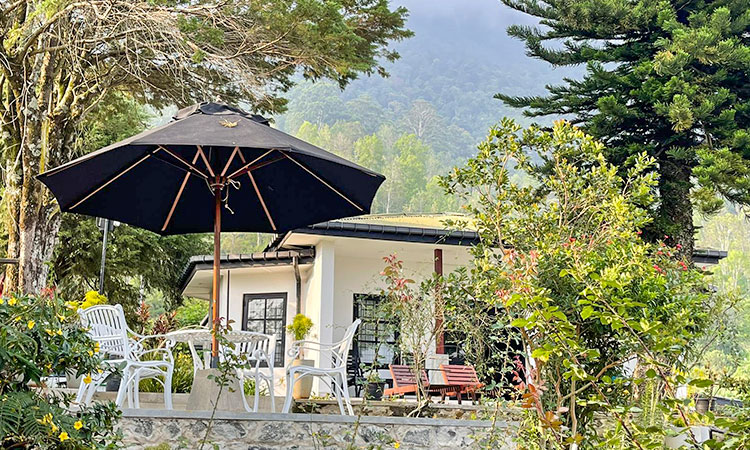 vacationentry's tweet image. Escape to Mandara Ridge Estate Bungalow Haputale for a complete holiday experience that feels just like home, surrounded by nature. 

&amp;gt;&amp;gt;&amp;gt;bit.ly/3YdDVSm

#MandaraRidge #NatureRetreat #HomeAwayFromHome #HaputaleEscape #TranquilGetaway