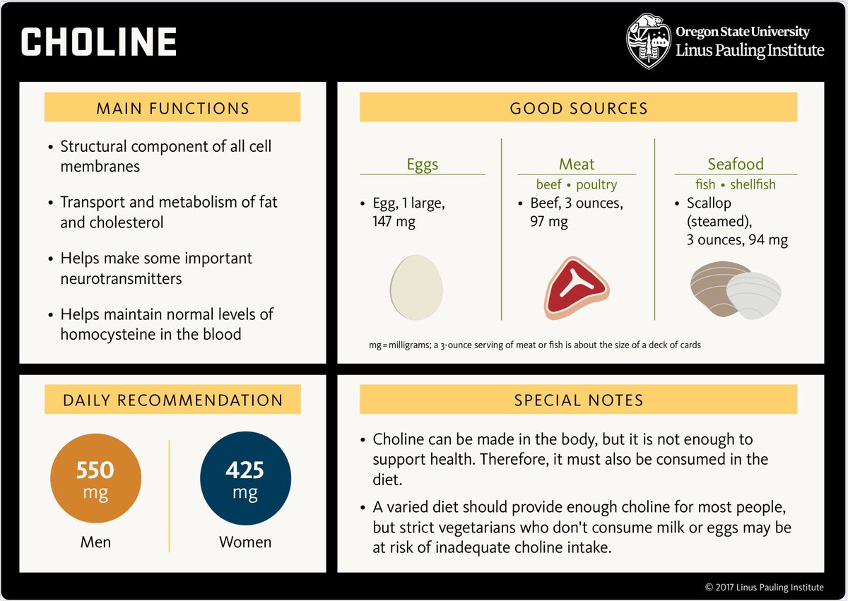 Good reminder that animal foods (eggs, beef, seafood) are important sources of choline and B vitamins, that among other things, support methylation critical for cellular repair and production of ATP and neurotransmitters.

 lpi.oregonstate.edu/mic/health-dis…