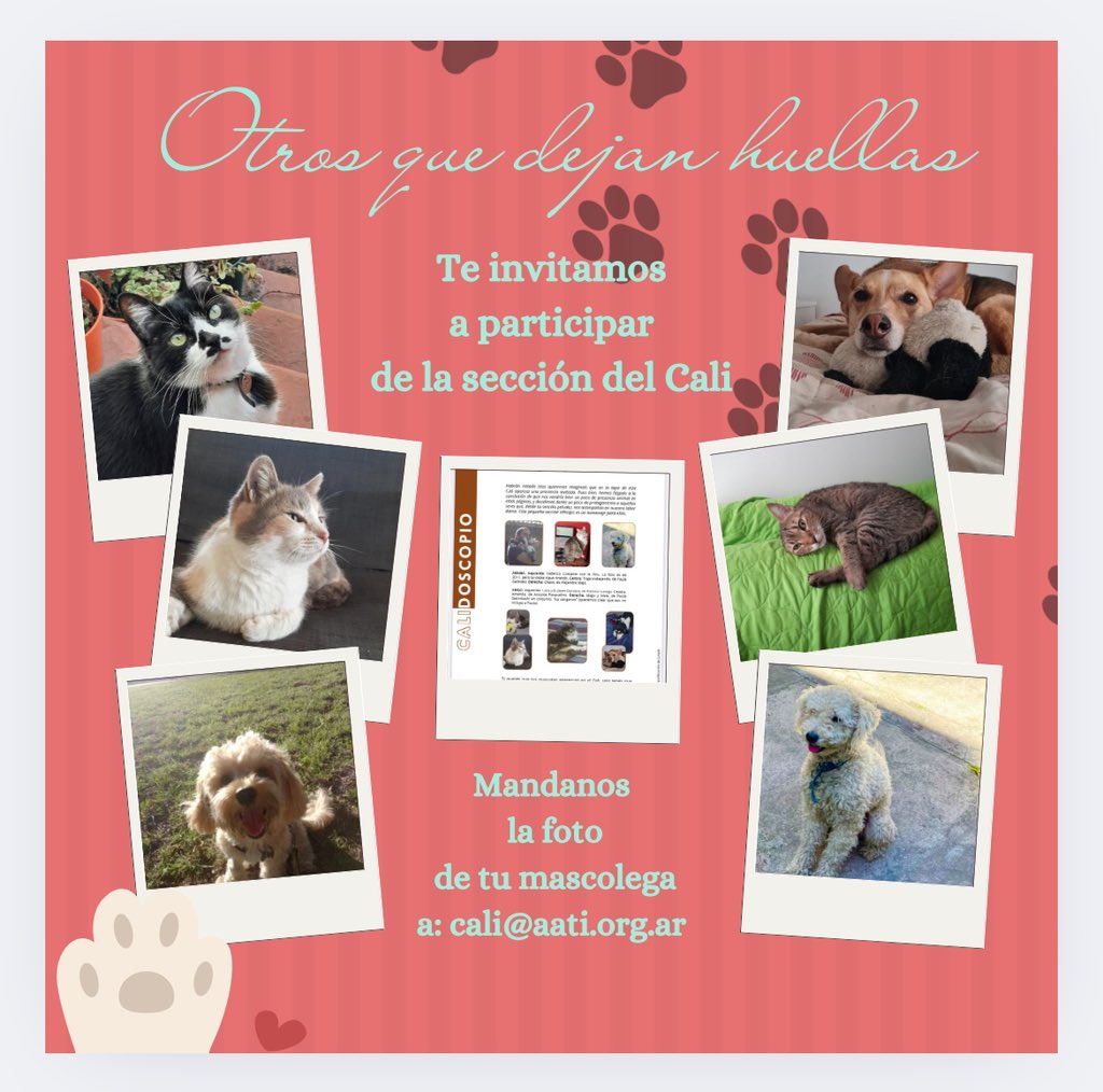 A.A.ALEJO (@aaalejo1) on Twitter photo 