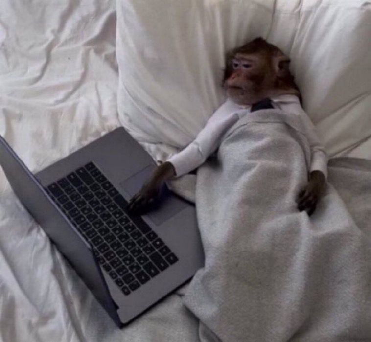 مذاكره اخر فاينل :