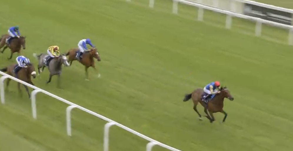 GREAT 11/10 WINNER 
HUCKLESBROOK 9/1 WINNER 
SILAWI 7/2 WINNER