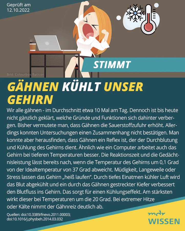 Tipps für den Höllensommer des Jahrhunderts 2025.