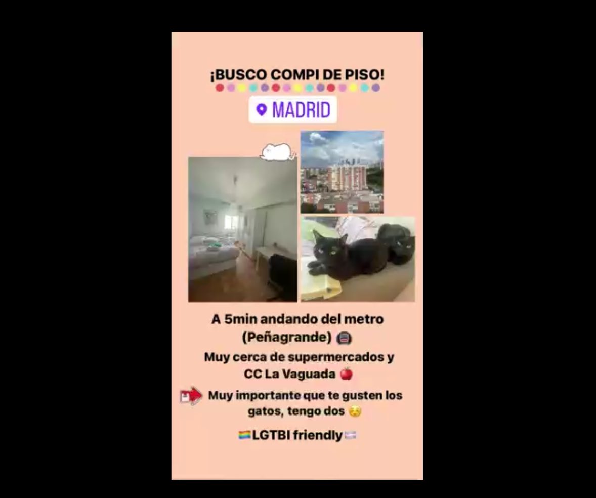 raqueleokele's tweet photo. Busco compañera/o para entrar el 15 de junio, zona peñagrande.

Importante ; que te gusten los animales tengo dos gatos ❤️ https://t.co/WdPXlB2GoW