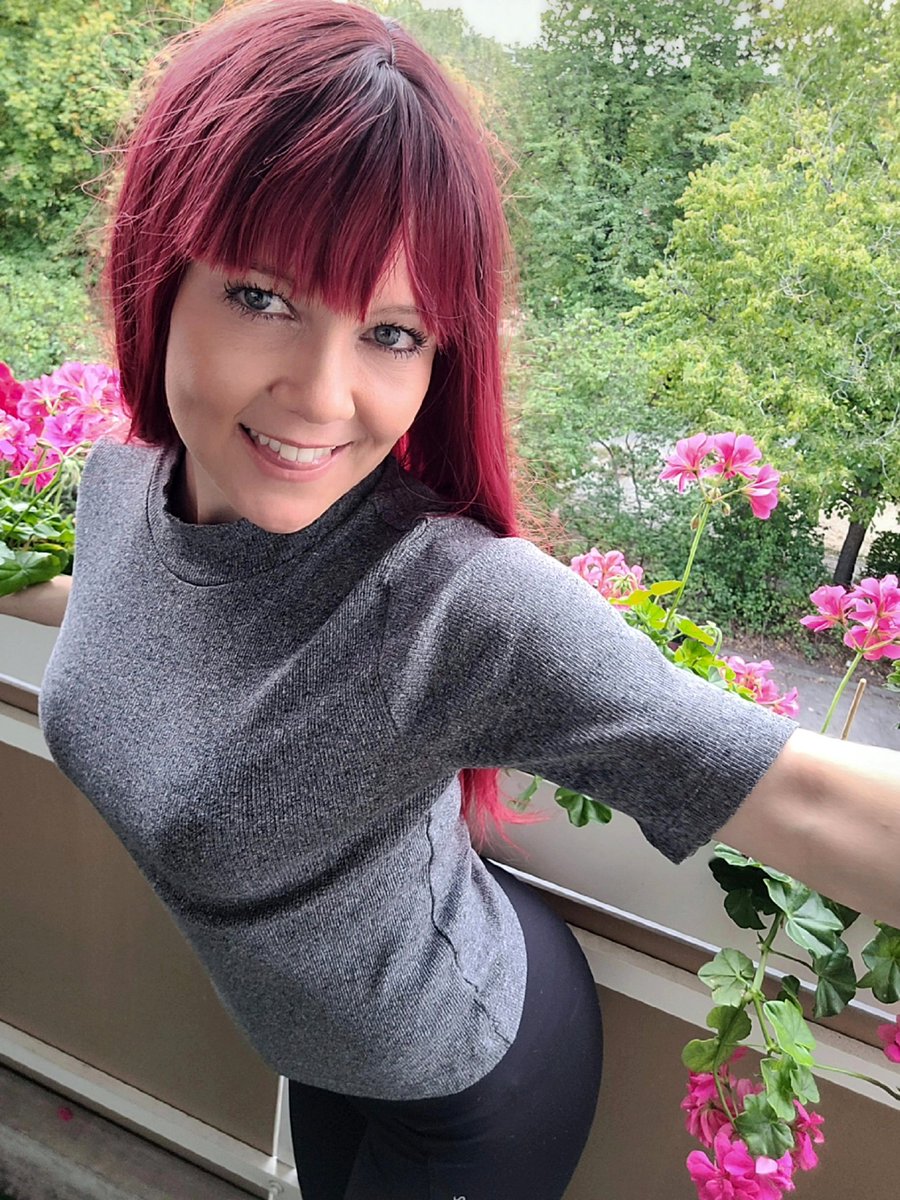 Nicky Stern Official tweet media