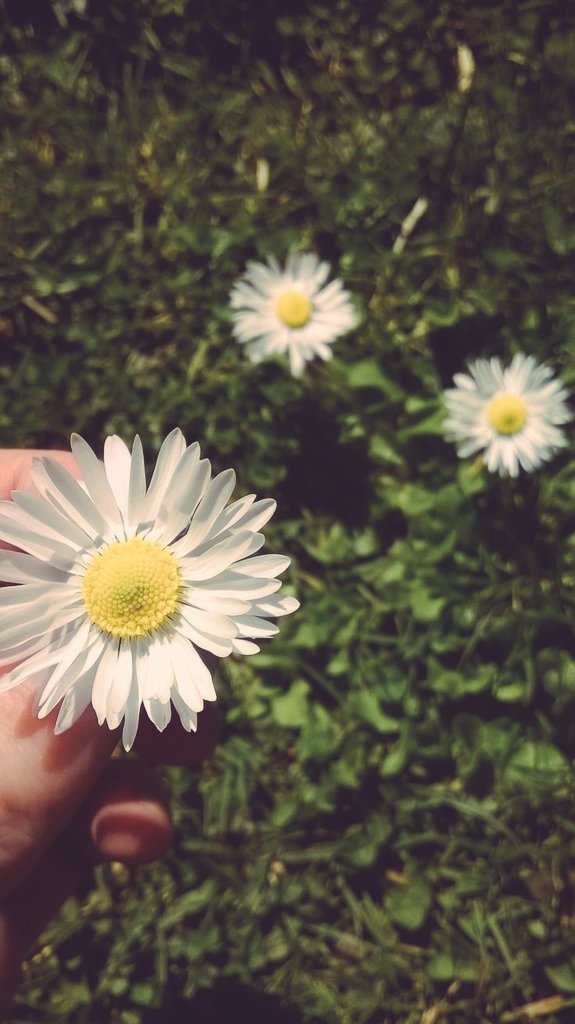 " Alçak " 
kelimesini insana söylersen hakaret olur. Ama gönül için söylersen iltifat olur..

"Alçak gönüllü.."
 Gönül böyle bir şeydir işte , çirkinden güzel doğurur.