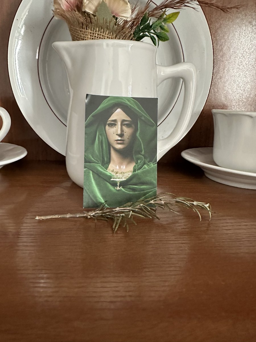 La Esperanza también ha llegado a la casa de mi abuela, le he pedido mucho porque la proteja y Ella lo está cumpliendo. Gracias💚🌿