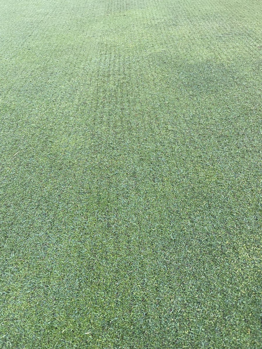 Mike Banton tweet media