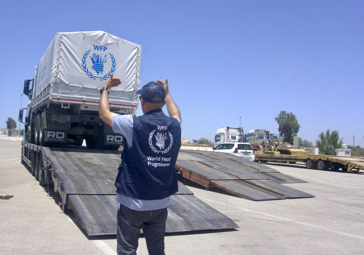 Farnesina 🇮🇹 (@italymfa) on Twitter photo Sono entrati a #Gaza i 15 camion del progetto #FoodforGaza, donati dall’🇮🇹 al <a href="/WFP/">World Food Programme</a> per allievare la crisi umanitaria nella Striscia. L'obiettivo è contribuire alla distribuzione degli aiuti alla popolazione in difficoltà.
Leggi il comunicato 👇
esteri.it/it/sala_stampa… Sono entrati a #Gaza i 15 camion del progetto #FoodforGaza, donati dall’🇮🇹 al <a href="/WFP/">World Food Programme</a> per allievare la crisi umanitaria nella Striscia. L'obiettivo è contribuire alla distribuzione degli aiuti alla popolazione in difficoltà.
Leggi il comunicato 👇
esteri.it/it/sala_stampa…