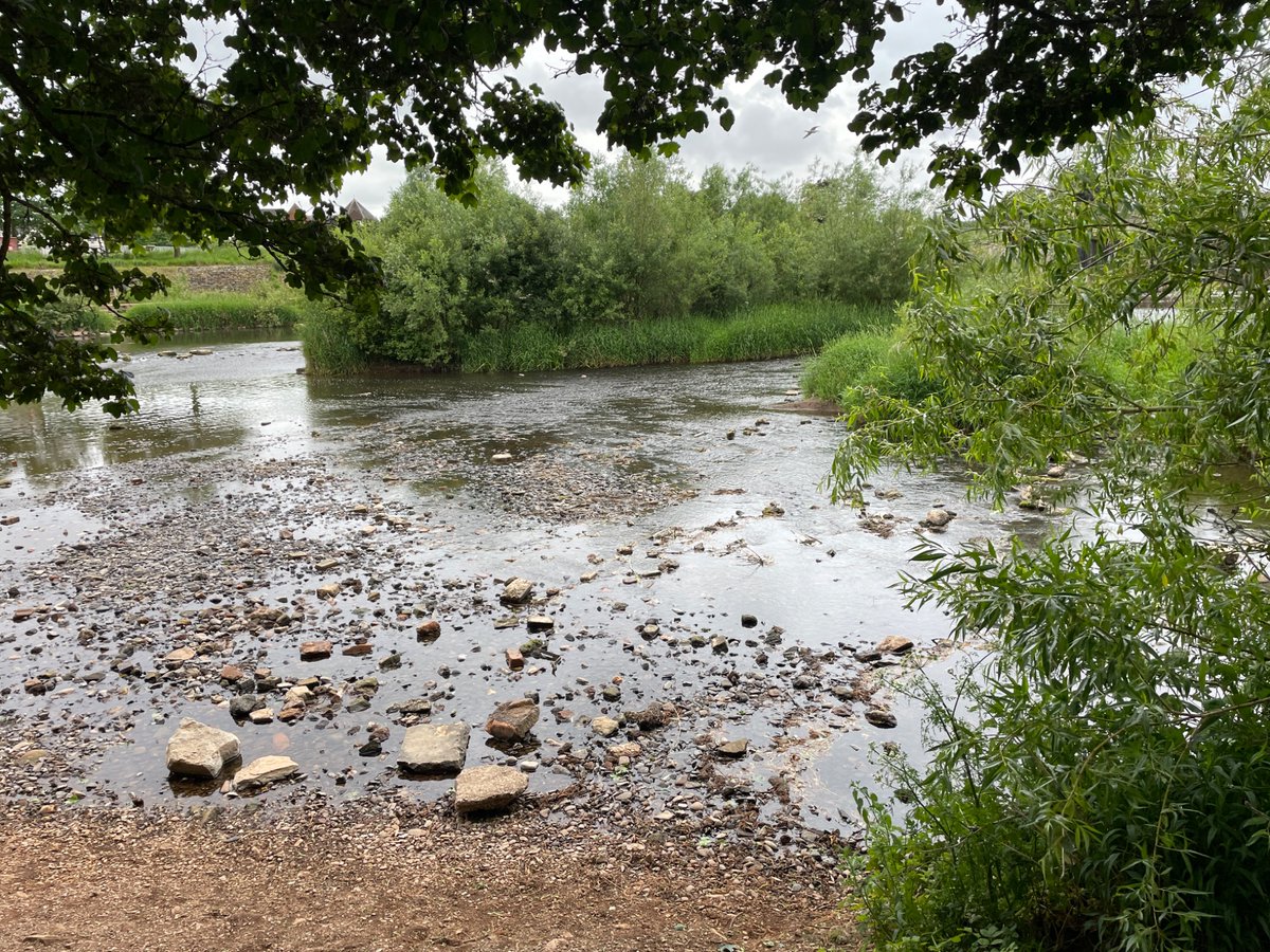 DCFishEA's tweet image. Compliance visit at our licensed net fishery, followed by a closed season river patrol due to reports of illegal fishing.
Please report any suspicious fishing activity ☎️ 0800 807060