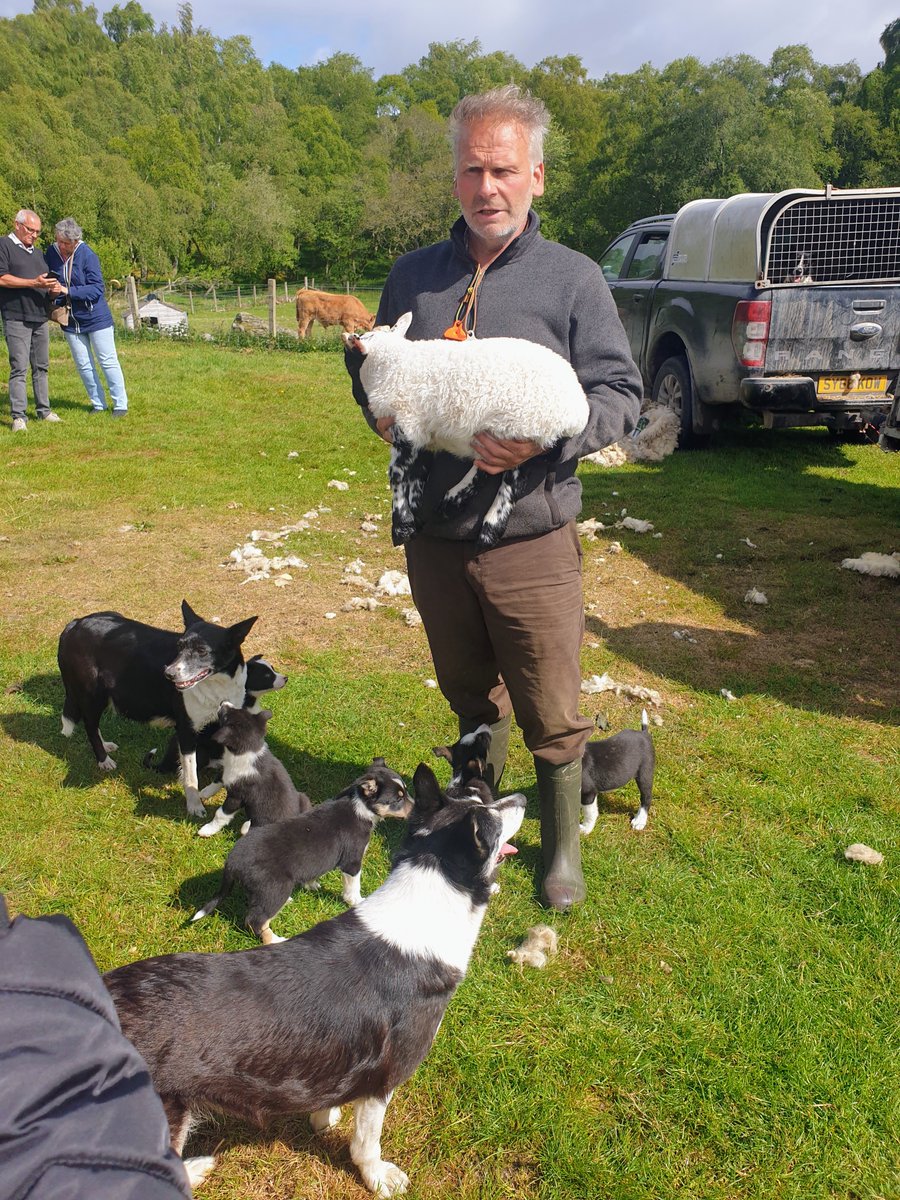 TheScottishHistorian (@scothistorian) on Twitter photo Sheepdog demonstration in Highland Scotland with craggy master shepherd Neil Ross. You can engage directly with farming, sheep shearing, landscape (and puppies) on a <a href="/SmithsonianTrvl/">Smithsonian Journeys</a> vacation called  'Scotland's Treasures' here in bonny Scotland. Sheepdog demonstration in Highland Scotland with craggy master shepherd Neil Ross. You can engage directly with farming, sheep shearing, landscape (and puppies) on a <a href="/SmithsonianTrvl/">Smithsonian Journeys</a> vacation called  'Scotland's Treasures' here in bonny Scotland.