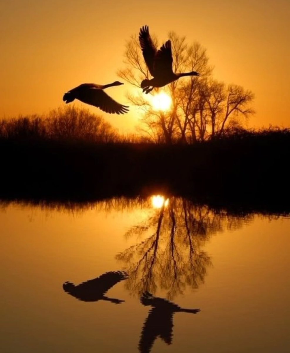 an evening reflection 
..🧡
natureelover6