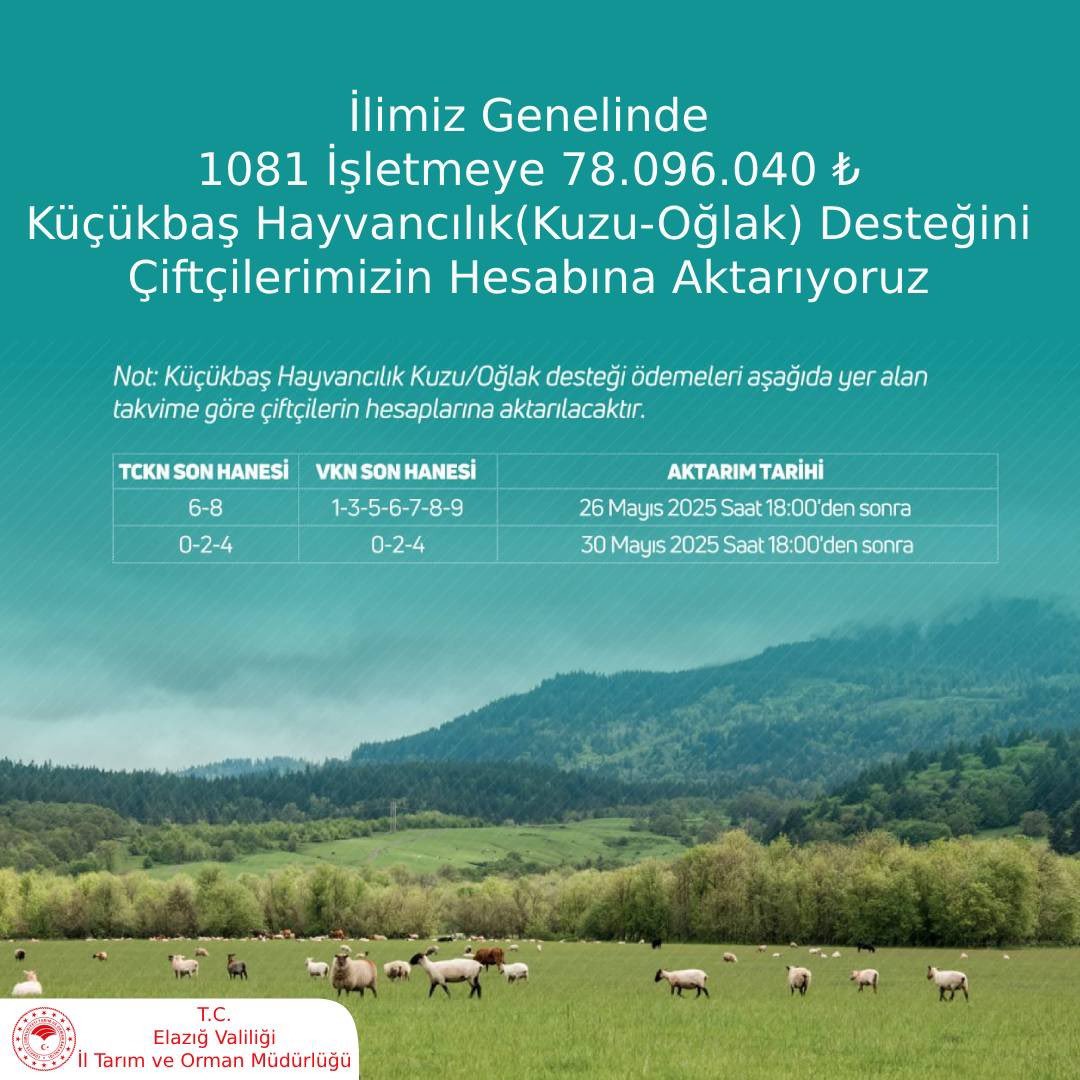 Elazığ genelinde 1081 işletmeye toplam 78 milyon TL’yi aşkın Küçükbaş Hayvancılık (Kuzu-Oğlak) desteği hesaplara aktarılıyor!

Destek ödemeleri TCKN/VKN son hanesine göre 2 takvimde gerçekleştirilecektir:

26 Mayıs 2025, Saat 18.00’den sonra
TCKN: 6-8 / VKN: 1-3-5-6-7-8-9

30