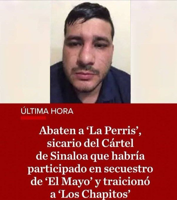 Guard1aNac1onal's tweet photo. El viernes, "La Perris" (alias "27") fue abatido por @Defensamx1 y @GN_MEXICO_
No fue casualidad... ¡Fue un golpe de inteligencia planificado! 
@Libro_negro_
@CafeNegro3
@CorresponsalesMX
@GNocturnaMX https://t.co/pRZKAfxKPS