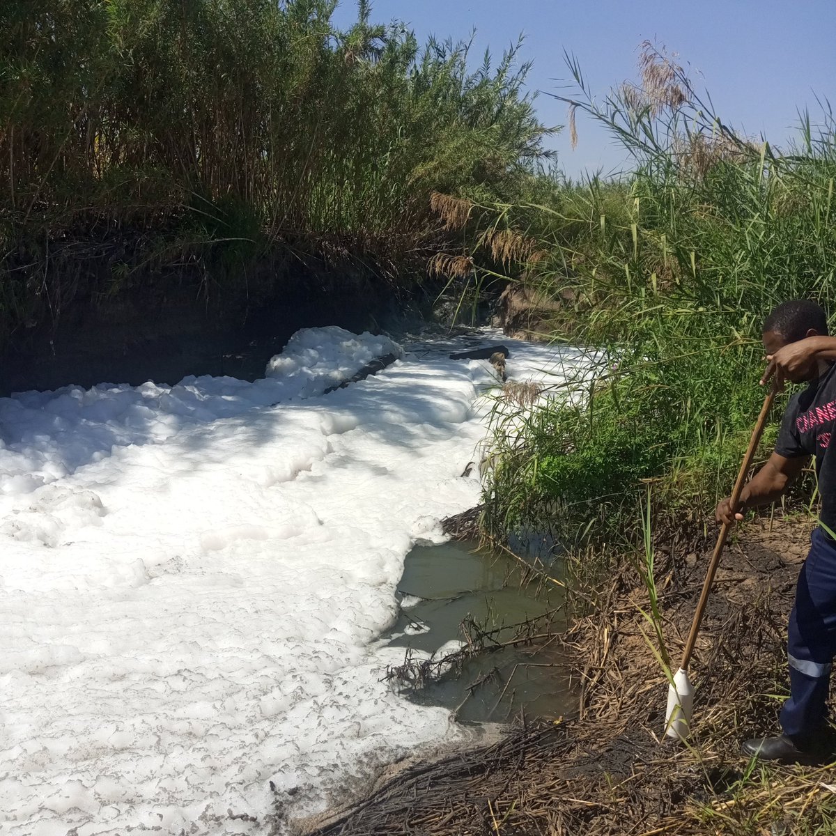 Reuben Akili tweet media