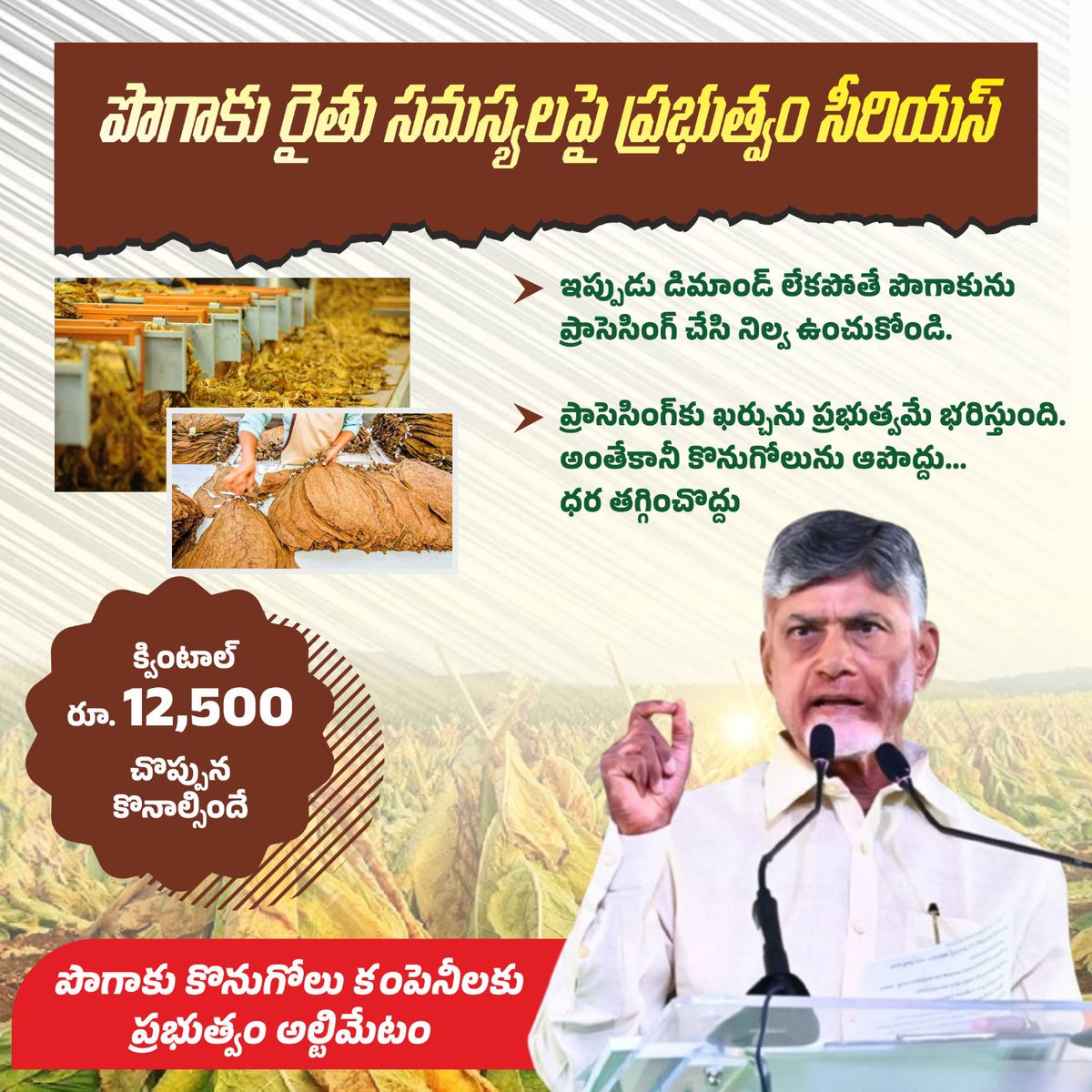 muralikvr's tweet photo. ఈ మధ్యనే  పొగాకు కొనుగోళ్లు-గిట్టుబాటు ధరలపై అధికారులు, ట్రేడర్లతో ముఖ్యమంత్రి చంద్రబాబు గారు సమీక్ష నిర్వహించారు. GPI, ITC కంపెనీలు తక్షణమే 20 మిలియన్ కిలోల కొనుగోళ్లను ప్రారంభించాలని అన్నారు. సీఎం ఆదేశాల���ై మంత్రులు పొగాకు బోర్డును, రైతులను, కంపెనీ ప్రతినిధులను. https://t.co/qms9zTLQI4
