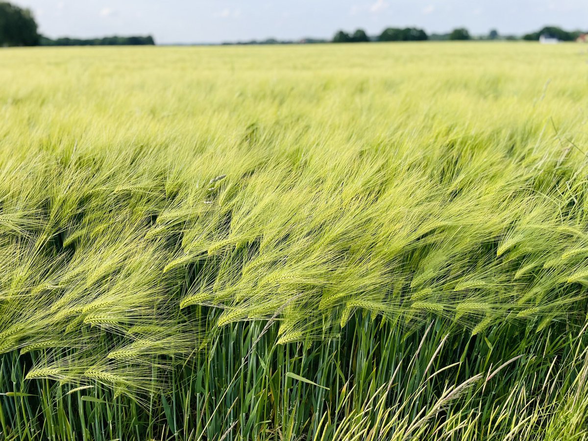 Roman Kolbe (@uefa1997) on Twitter photo 