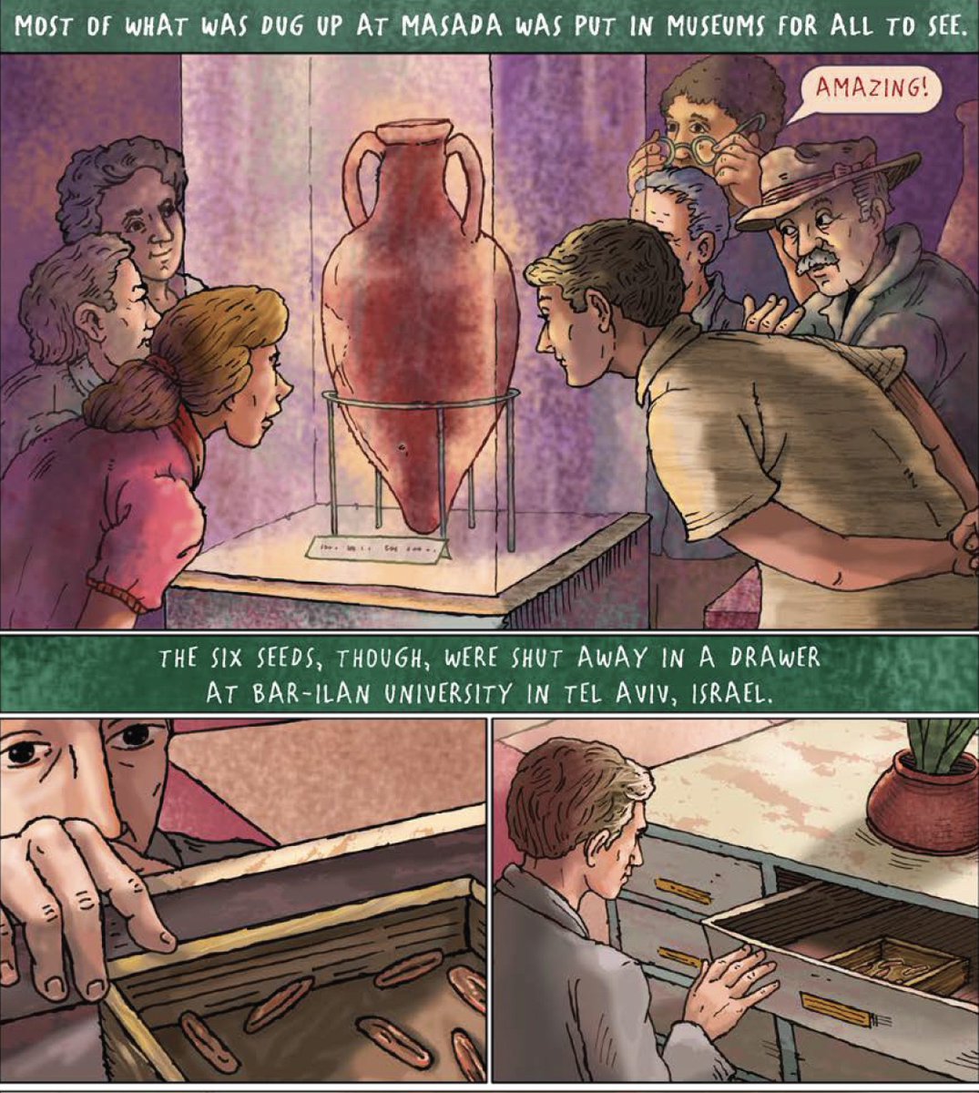 Anna Olswanger (@annaolswanger) on Twitter photo Congratulations to <a href="/MartinLemelman/">Martin Lemelman</a>! His graphic novel THE MIRACLE SEED, the story of an extinct Judaean date palm brought back to life by two Israeli women scientists, received the 2025 Award of Excellence in Literature for Young Adults from <a href="/CBHLTweets/">Council on Botanical & Horticultural Libraries</a>: bit.ly/3Fq70nE Congratulations to <a href="/MartinLemelman/">Martin Lemelman</a>! His graphic novel THE MIRACLE SEED, the story of an extinct Judaean date palm brought back to life by two Israeli women scientists, received the 2025 Award of Excellence in Literature for Young Adults from <a href="/CBHLTweets/">Council on Botanical & Horticultural Libraries</a>: bit.ly/3Fq70nE