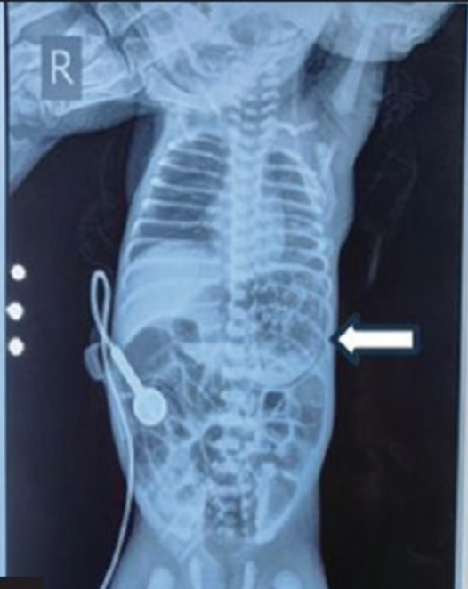 Dr. K. S. Gautham tweet media