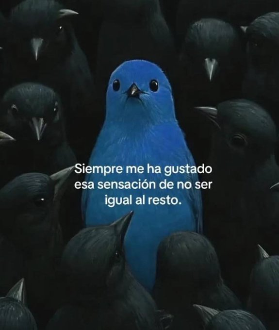 Esos Tuits tweet media