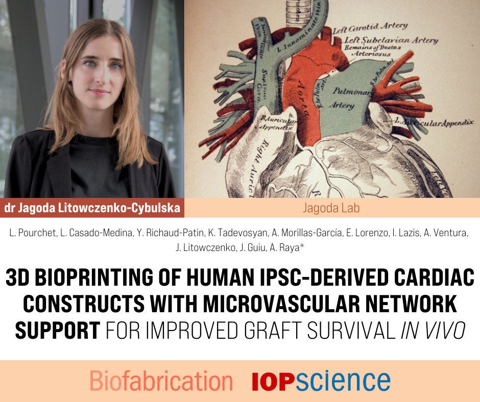 Center for Advanced Technologies (@czt_uam) on Twitter photo 📣New publication in Biofabrication <a href="/IOPPublishing/">IOP Publishing</a>!
📲 iopscience.iop.org/article/10.108…
📑 Article 𝟥𝘋 𝘣𝘪𝘰𝘱𝘳𝘪𝘯𝘵𝘪𝘯𝘨 𝘰𝘧 𝘩𝘶𝘮𝘢𝘯 𝘪𝘗𝘚𝘊-𝘥𝘦𝘳𝘪𝘷𝘦𝘥 𝘤𝘢𝘳𝘥𝘪𝘢𝘤 𝘤𝘰𝘯𝘴𝘵𝘳𝘶𝘤𝘵𝘴 𝘸𝘪𝘵𝘩 𝘮𝘪𝘤𝘳𝘰𝘷𝘢𝘴𝘤𝘶𝘭𝘢𝘳 𝘯𝘦𝘵𝘸𝘰𝘳𝘬 𝘴𝘶𝘱𝘱𝘰𝘳𝘵 𝘧𝘰𝘳 📣New publication in Biofabrication <a href="/IOPPublishing/">IOP Publishing</a>!
📲 iopscience.iop.org/article/10.108…
📑 Article 𝟥𝘋 𝘣𝘪𝘰𝘱𝘳𝘪𝘯𝘵𝘪𝘯𝘨 𝘰𝘧 𝘩𝘶𝘮𝘢𝘯 𝘪𝘗𝘚𝘊-𝘥𝘦𝘳𝘪𝘷𝘦𝘥 𝘤𝘢𝘳𝘥𝘪𝘢𝘤 𝘤𝘰𝘯𝘴𝘵𝘳𝘶𝘤𝘵𝘴 𝘸𝘪𝘵𝘩 𝘮𝘪𝘤𝘳𝘰𝘷𝘢𝘴𝘤𝘶𝘭𝘢𝘳 𝘯𝘦𝘵𝘸𝘰𝘳𝘬 𝘴𝘶𝘱𝘱𝘰𝘳𝘵 𝘧𝘰𝘳