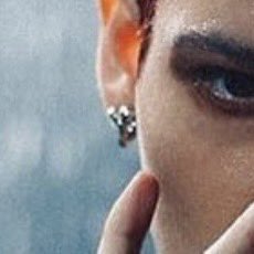 omrworm's tweet photo. omar wearing joshua tree earrings for fluid promo is crazy cause theyre botanically classified as succulents, BUT in dry ecosystems they're considered "trees of the desert" despite not having woody trunks. i hate joshua "trees," but ill allow them this time cause i love symbolism https://t.co/bAsWGvu3VR