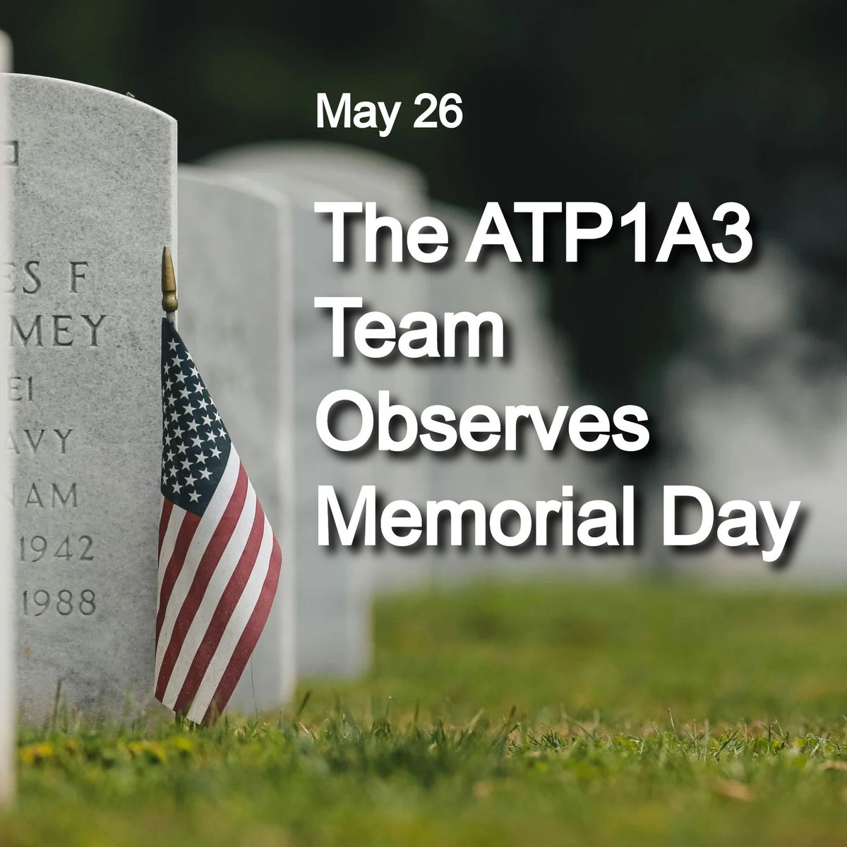 atp1a3Research's tweet photo. Today we honor &amp; mourn military personnel who died while serving the U.S. To all of our #ClinicalStudy participants &amp; anyone dealing w/ a #RareMovementDisorder, especially those who lost a beloved service member: We hope you have a peaceful #MemorialDay.

#RDP #CAPOS #AHC #ATP1A3 https://t.co/IOZPQQ20MB