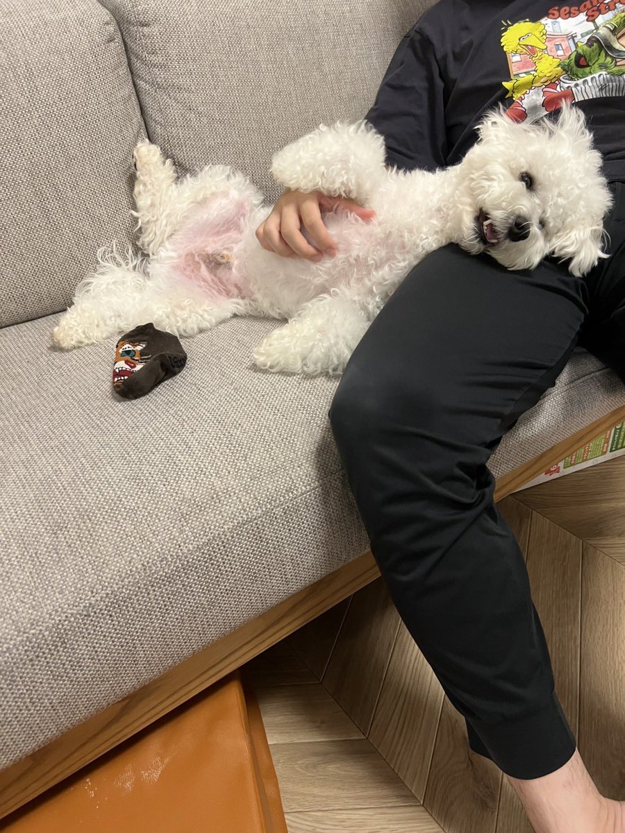飼い主が6日間の出張から帰ってきて嬉しすぎた犬