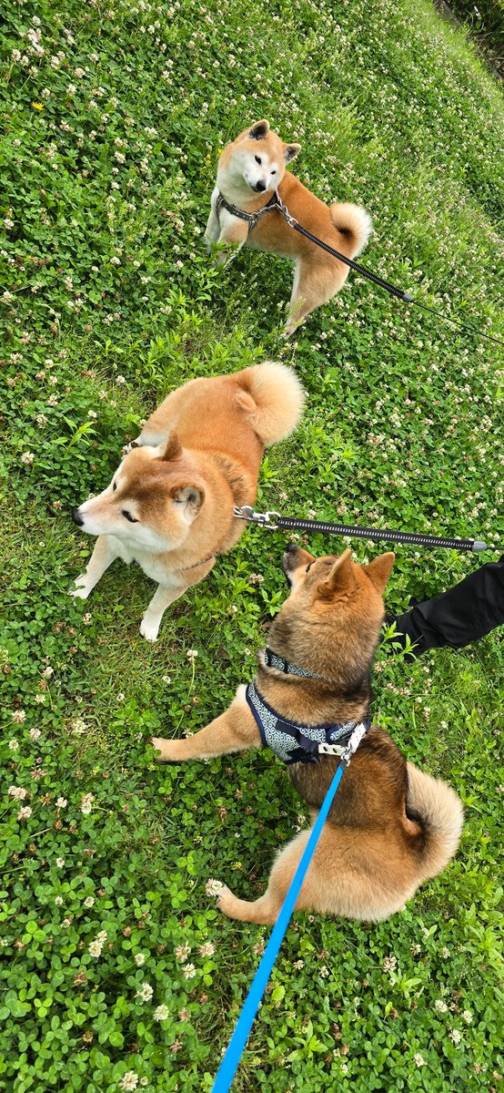 すっかりお友達だね🩷