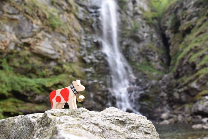 A mooo-ment of pure bliss! 🐮💦

Droplets of water on my muzzle… I’m standing in front of a Ticino waterfall and it’s simply breathtaking! 🇨🇭

It’s like a spa day in the wild! My little hooves feel as fresh as alpine butter. 🧈

Ever dipped your feet in a Swiss waterfall? 👇
